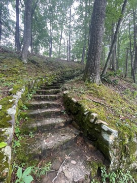 steps winding through the woods